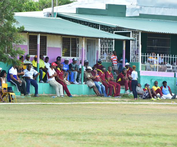 Spectators at the Kensington Cricket Club